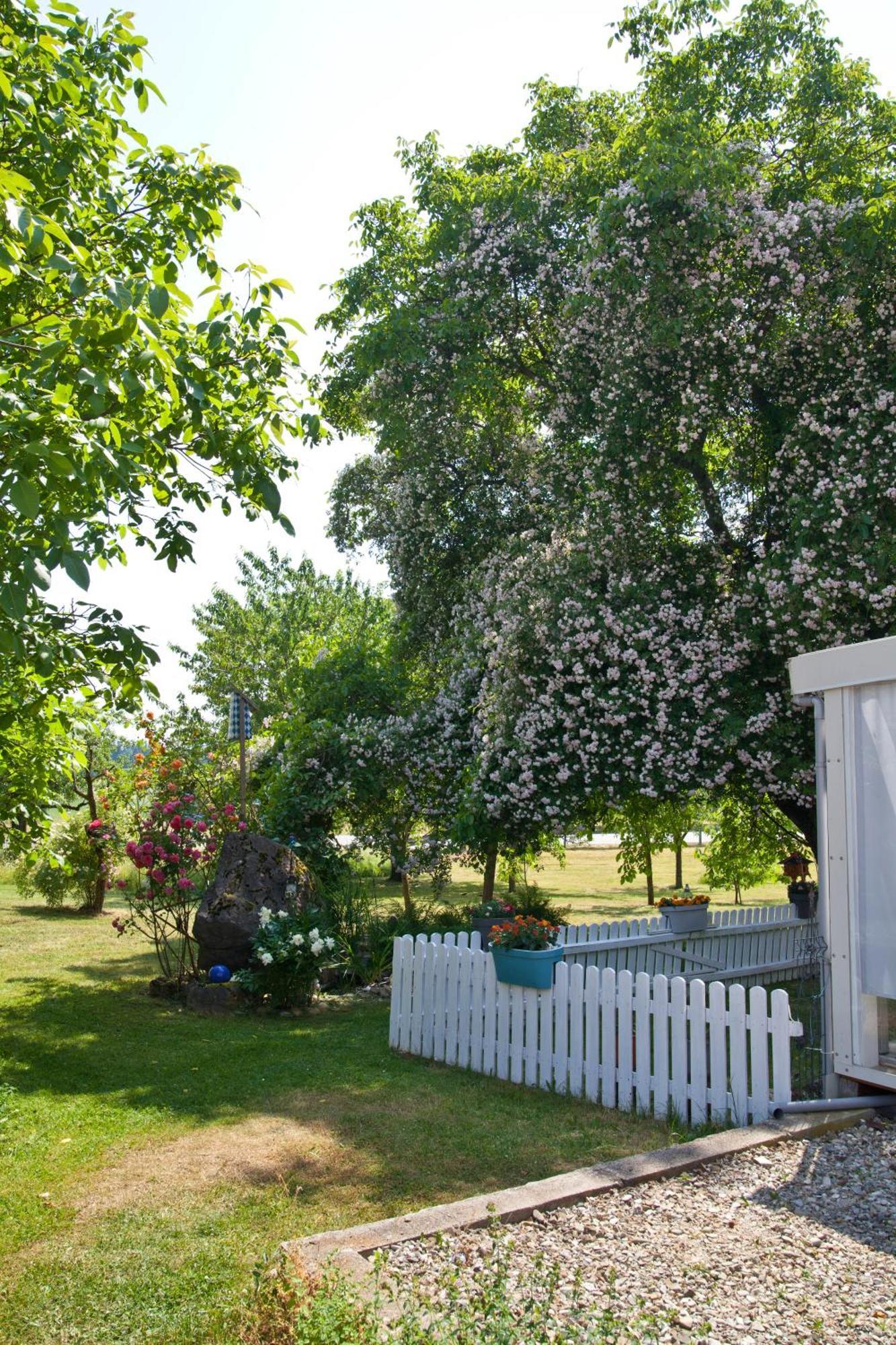 Ferienwohnung Moierhof Palling Экстерьер фото