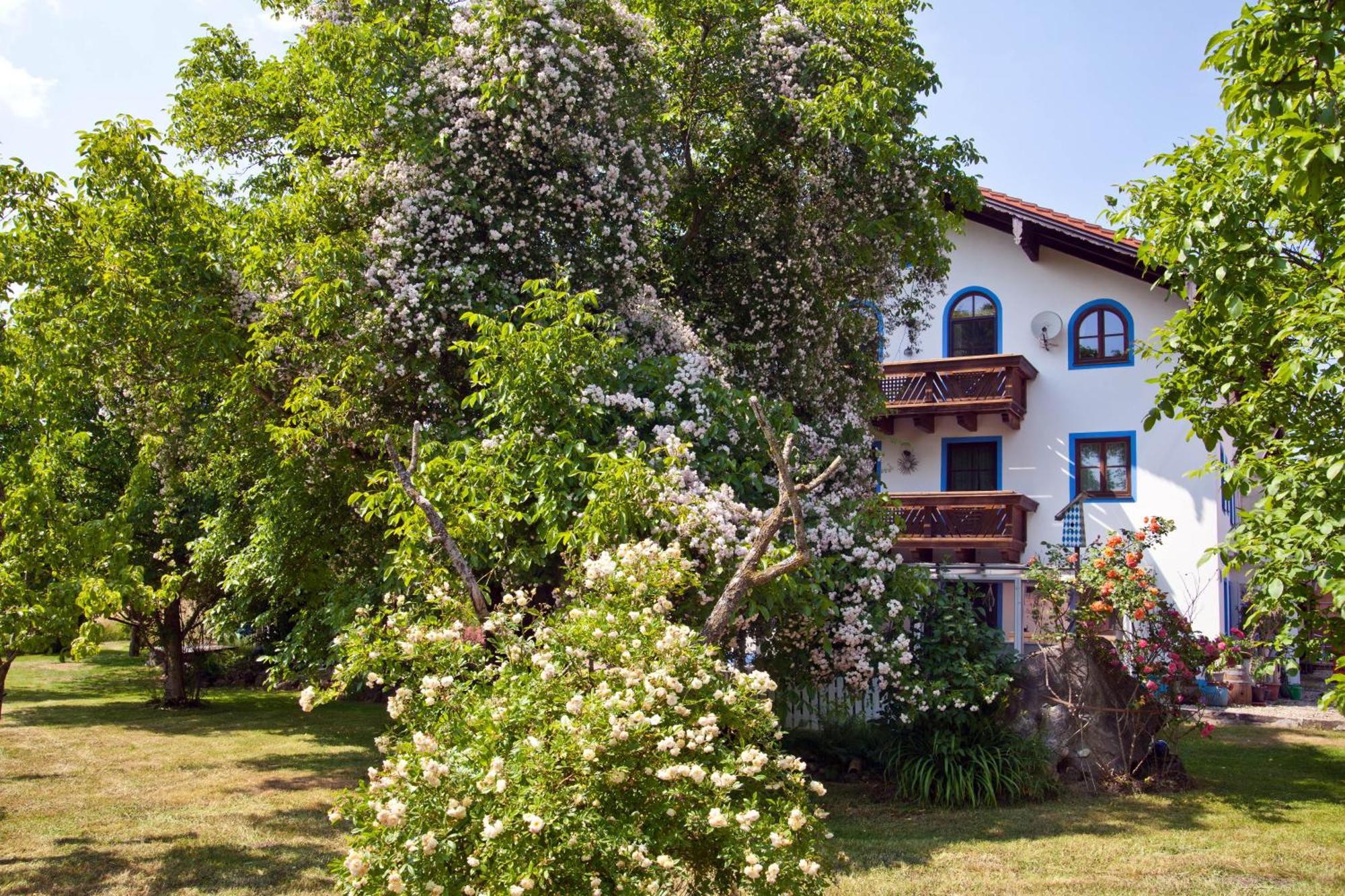 Ferienwohnung Moierhof Palling Экстерьер фото