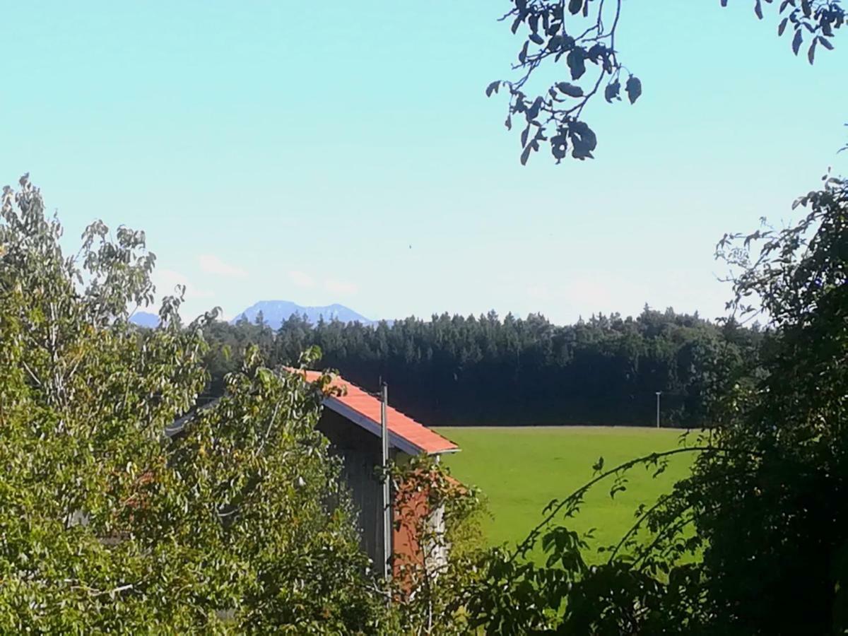 Ferienwohnung Moierhof Palling Экстерьер фото